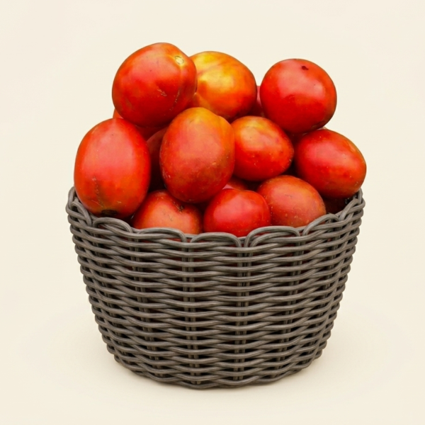 Small Basket of Tomatoes
