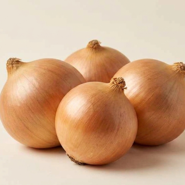 Onions Pieces_4